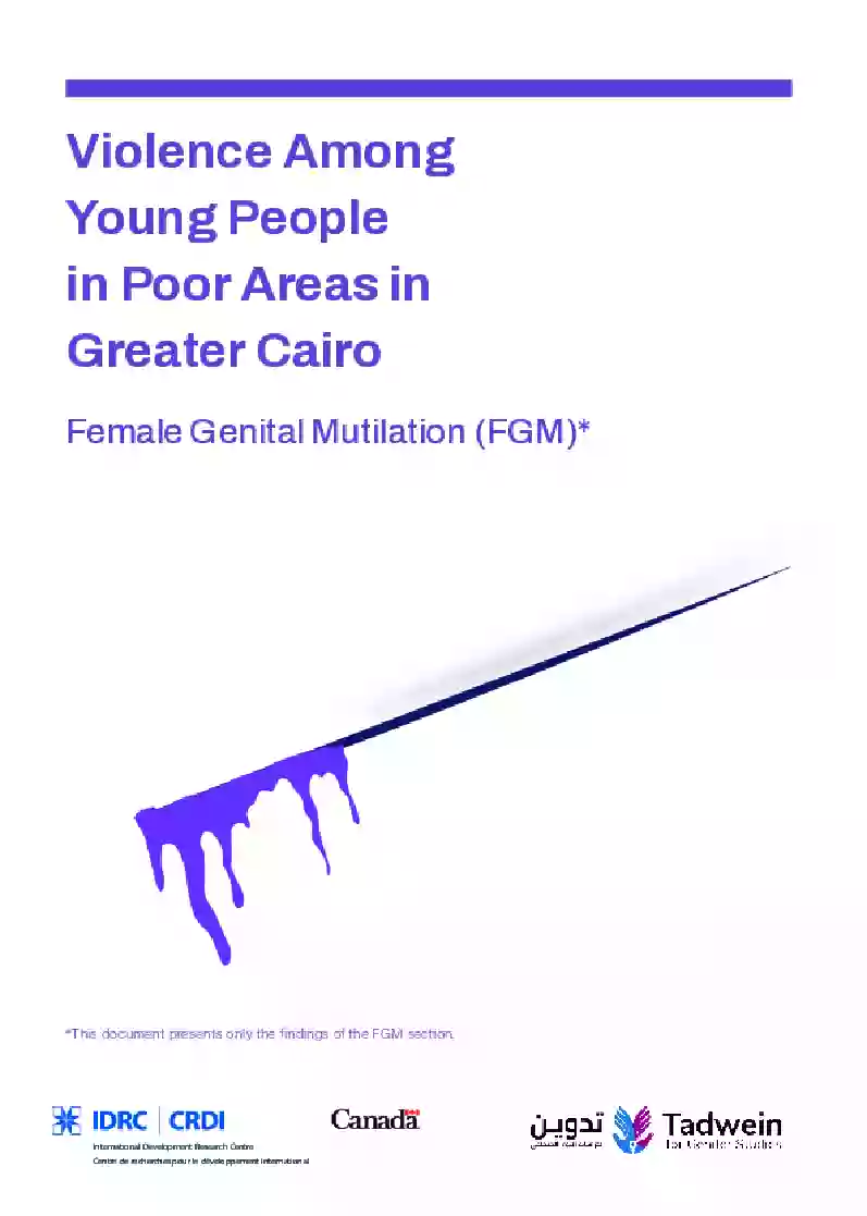 Violence Among Young People in Poor Areas in Greater Cairo: FGM